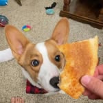 Jason - @jason._.elston - Instagram