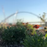 Jason Emanuelson - @jasonemanuelson - Instagram