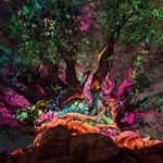 Jason Embree - @embreej - Instagram