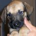 Jayson Embree - Facebook