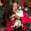 jasonemiguelbailo - @jasonemiguelbailo - TikTok