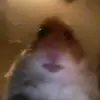 Jason Engström690 - @dude_imjason - TikTok