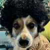 jasonesterline4 - @jason.esterline - TikTok
