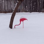 Jason Epling - @jjepling - Instagram