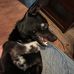 Jason Epperson - Facebook
