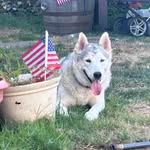 Jason Eury - @jasoneury - Instagram