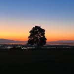 Jason Fackrell - @fackrell_jason - Instagram