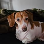 Jason Farrell - Facebook