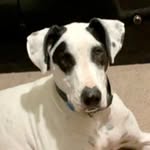 Jason Farmer - @cyanjay98 - Instagram