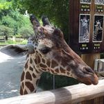Jason Farthing - @jason.farthing.5 - Instagram