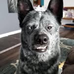 Jason Farver - @farver.jason - Instagram
