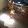 jasonfeathers7 - @jasonfeathers7 - TikTok