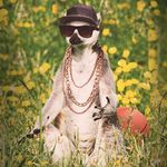 Jason Featherstone - @jason.featherstone - Instagram