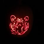 Jason Fenoglio - @jasonfenoglio - Instagram
