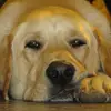 Jason Flaherty836 - @jasonflaherty836 - TikTok