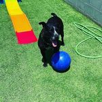 Jason Flaherty - @flaherty4311 - Instagram