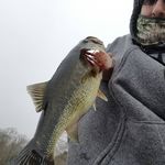 jason fleury - @jay_the_fishing_electrician - Instagram