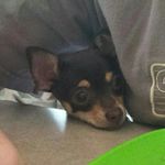 Jason Foisy - @jasonfoisy - Instagram