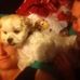 Jason Fozzwah - Facebook