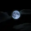 jasonfolsom832 - @jasonfolsom832 - TikTok
