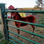 Jason force - @jasonforce9 - Instagram