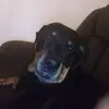 jasonframpton4 - @jasonframpton4 - TikTok