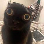 Jason Frederickson - @jason_frederickson - Instagram