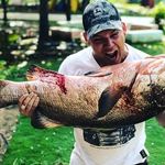 Jason Fredrick - @jasonfredrick81 - Instagram
