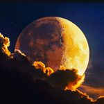Jason Frith - @frithjason - Instagram