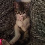 jason fuchs - @jasonfuchs058 - Instagram
