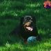 Jason Galvin - Facebook
