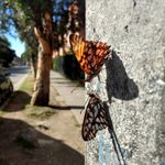 Jason Garzon - @jasongarzon - Instagram