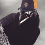 Jason Gaskin - @bamba77x - Instagram