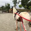 Jason Gaskin - @jason.gaskin10 - TikTok