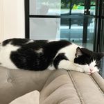 Jason Guillaume - @jasongeller74 - Instagram