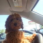 Jason Gerken - Facebook