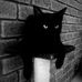Jason German - Facebook