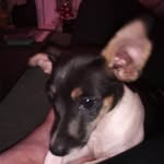 Jason Gerry - @jason.gerry.1238 - Instagram