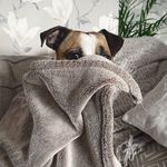 Jason Gerry - @jasongerry37 - Instagram
