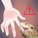 Jason Gerry - @beardeddragonsareugly - Instagram
