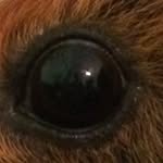 Jason Gerry - @jasongerry8262 - Instagram