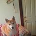 Jason Getchell - Facebook