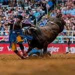 Jason Gibbs - @jasongibbs1976 - Instagram