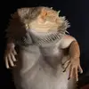 Jason Gibson - @jason.gibson7 - TikTok