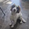 Jason Gilmore - @jason.gilmore52 - TikTok