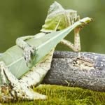 Jason Gingras - @jason__gingras - Instagram