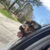 Jason Gingras - @jason5080 - TikTok