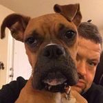 Jason C Gladden - @k9normie - Instagram