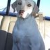 Jason Glisson - Facebook