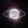Neptunelord - @jason.glory - TikTok